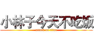 小林子今天不吃饭 (attack on titan)