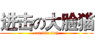 进击の大脸猫 (cat like fish)