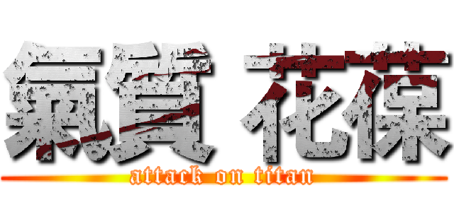 氣質 花葆 (attack on titan)