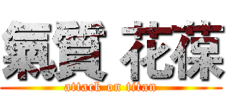 氣質 花葆 (attack on titan)
