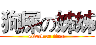 狗屎の姊姊 (attack on titan)