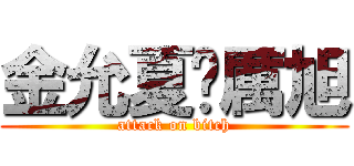 金允夏♥厲旭 (attack on bitch)