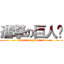 進撃の巨人喵 (attack on gaint cat)