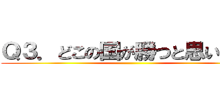 Ｑ３．どこの国が勝つと思いますか ()