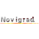 Ｎｏｖｉｇｒａｄ． (咩~咩~)