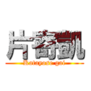 片寄凱 (Katayose gai)