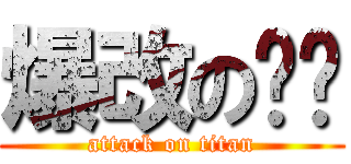 爆改の貓咪 (attack on titan)