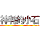 神判的小石 ()