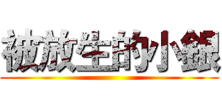 被放生的小銀 ()