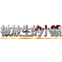 被放生的小銀 ()