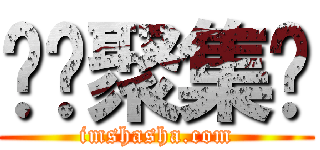 傻傻聚集处 (imshasha.com)