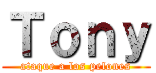 Ｔｏｎｙ (ataque a los pelones)