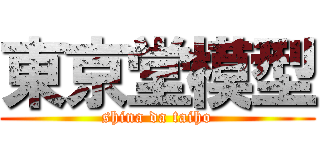 東京堂模型 (shina da taiho)