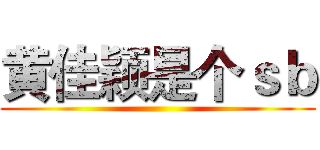 黄佳颖是个ｓｂ ()