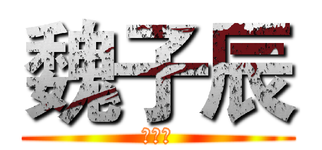 魏子辰 (魏子辰)