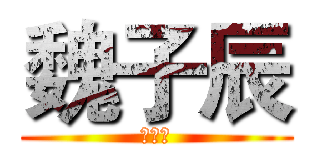 魏子辰 (魏子辰)