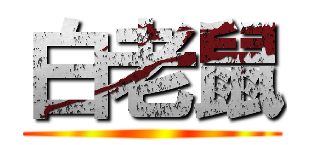 白老鼠 ()