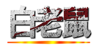 白老鼠 ()