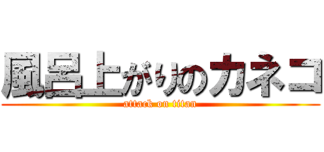 風呂上がりのカネコ (attack on titan)