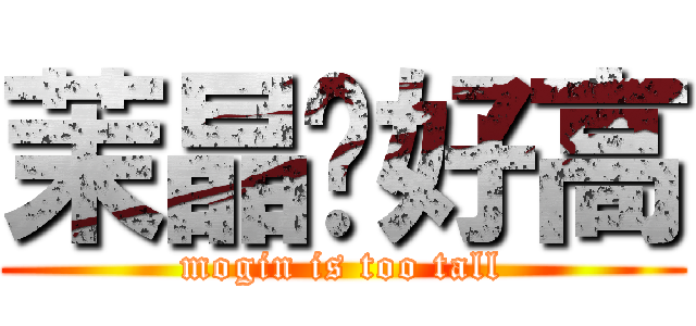 茉晶姊好高 (mogin is too tall)