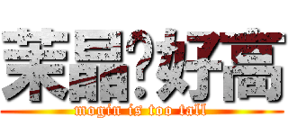 茉晶姊好高 (mogin is too tall)