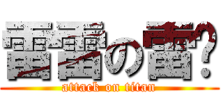 雷雷の雷玟 (attack on titan)