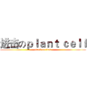 进击のｐｌａｎｔ ｃｅｌｌ (attack on titan)
