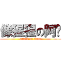 像猩猩の阿芃 (attack on titan)