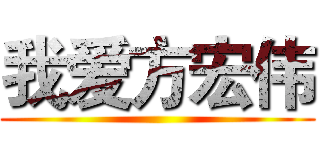 我爱方宏伟 ()