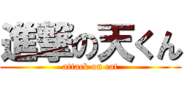 進撃の天くん (attack on cat)