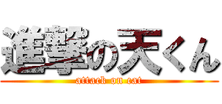 進撃の天くん (attack on cat)