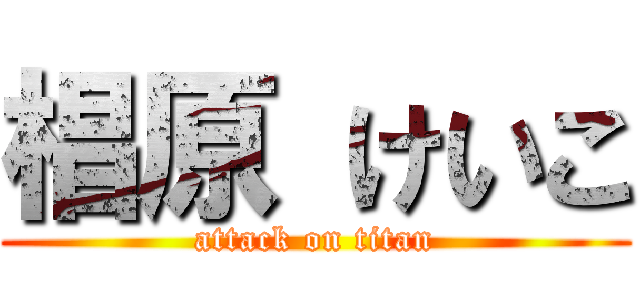 椙原 けいこ (attack on titan)