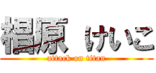 椙原 けいこ (attack on titan)