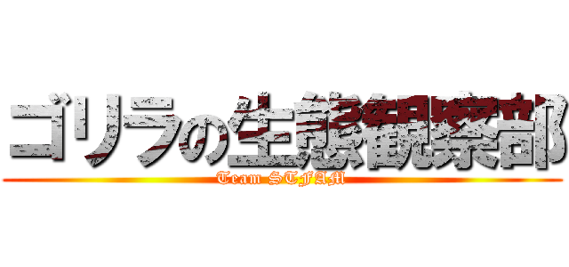 ゴリラの生態観察部 (Team STFAM)
