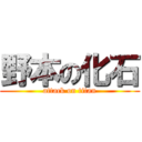 野本の化石 (attack on titan)