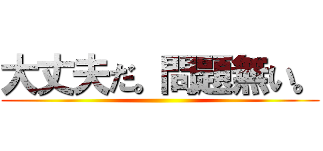 大丈夫だ。問題無い。 ()