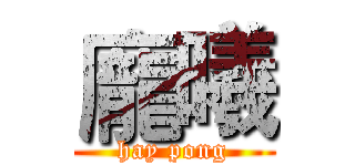 龐曦 (hay pong)