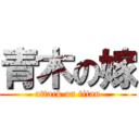 青木の嫁 (attack on titan)