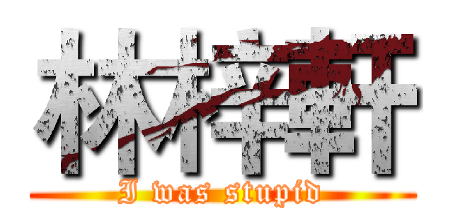 林梓軒 (I was stupid)
