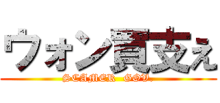 ウォン買支え (SCAMER  GOV.)