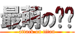 最萌の貓咪 (attack on titan)