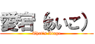 愛宕（あいご） (That's Atago)