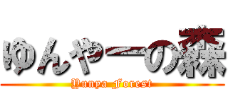 ゆんやーの森 (Yunya Forest)