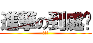 進撃の到處跑 (到處跑)