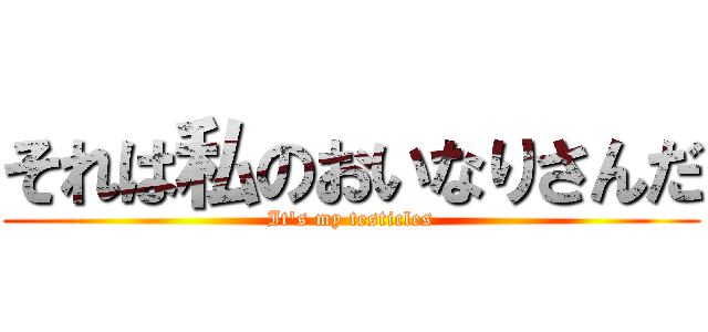 それは私のおいなりさんだ (It\'s my testicles)