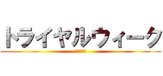 トライヤルウィーク (西中学校編)