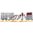 弱受の小晨 (来干我)