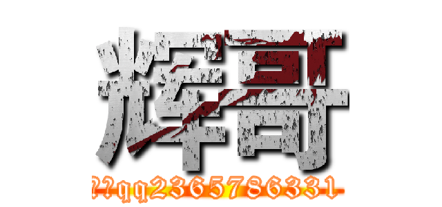 辉哥 (本人qq2365786331)