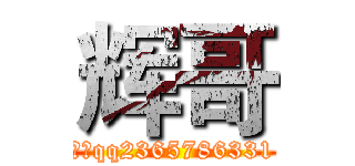 辉哥 (本人qq2365786331)
