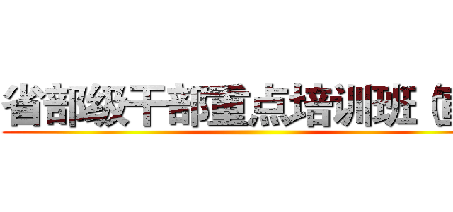 省部级干部重点培训班（宣） ()